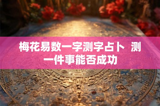 梅花易数一字测字占卜  测一件事能否成功