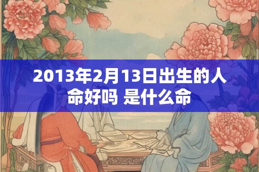 2013年2月13日出生的人命好吗 是什么命