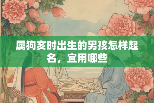 属狗亥时出生的男孩怎样起名,宜用哪些 属狗亥时出生的男孩怎样起名,宜用哪些