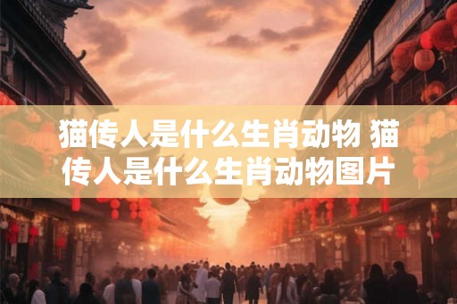 猫传人是什么生肖动物 猫传人是什么生肖动物图片