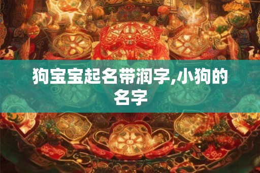 狗宝宝起名带润字,小狗的名字 狗宝宝起名带润字,小狗的名字