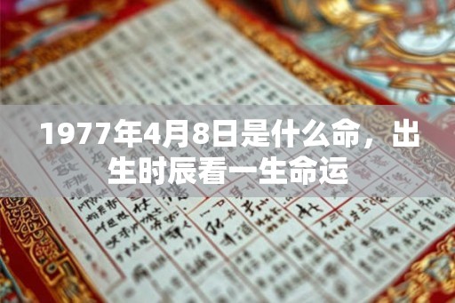 1977年4月8日是什么命，出生时辰看一生命运