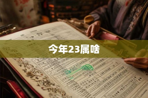 今年23属啥
