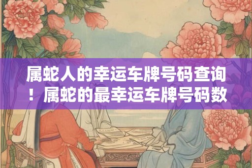 属蛇人的幸运车牌号码查询！属蛇的最幸运车牌号码数字