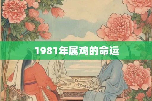 1981年属鸡的命运