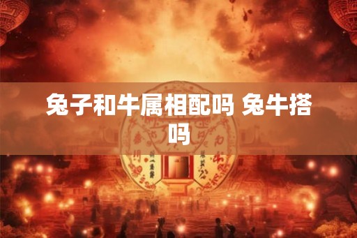 兔子和牛属相配吗 兔牛搭吗
