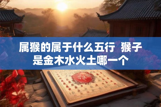 属猴的属于什么五行  猴子是金木水火土哪一个