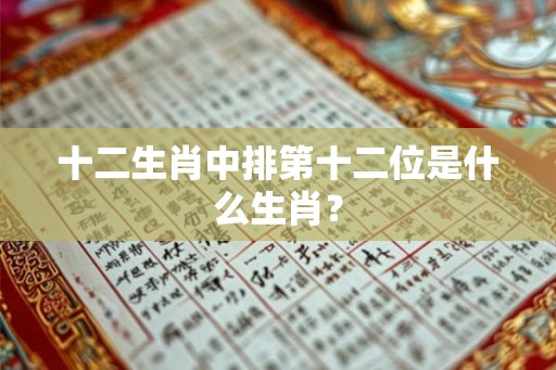 十二生肖中排第十二位是什么生肖？