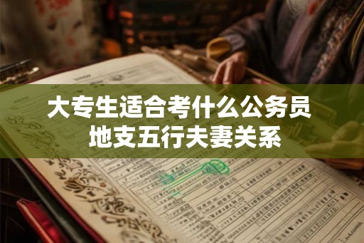 大专生适合考什么公务员  地支五行夫妻关系