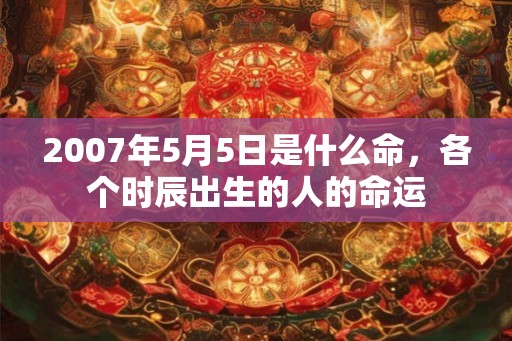 2007年5月5日是什么命，各个时辰出生的人的命运