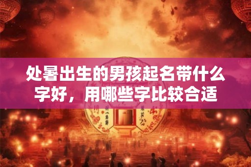 处暑出生的男孩起名带什么字好，用哪些字比较合适