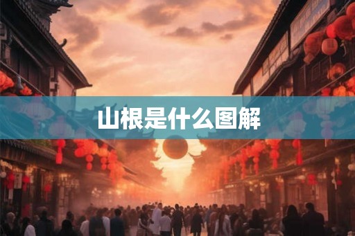 山根是什么图解 山根是什么图解