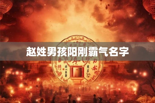 赵姓男孩阳刚霸气名字