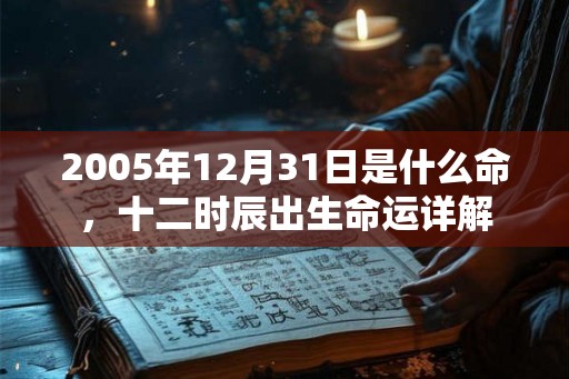 2005年12月31日是什么命，十二时辰出生命运详解