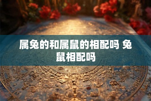 属兔的和属鼠的相配吗 兔鼠相配吗
