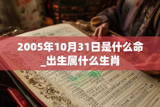 2005年10月31日是什么命_出生属什么生肖