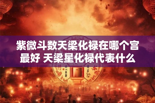 紫微斗数天梁化禄在哪个宫最好 天梁星化禄代表什么 紫微斗数天梁化禄在哪个宫最好 天梁星化禄代表什么