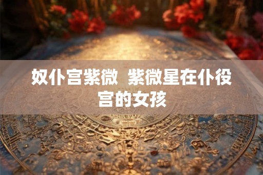 奴仆宫紫微 紫微星在仆役宫的女孩 奴仆宫紫微 紫微星在仆役宫的女孩