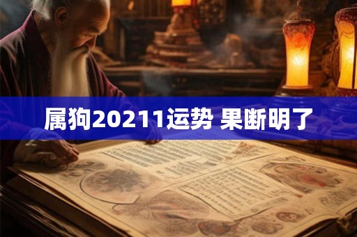 属狗20211运势 果断明了