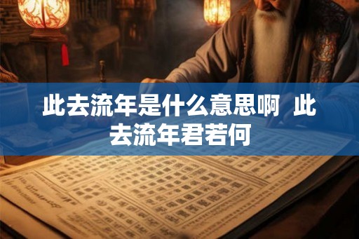 此去流年是什么意思啊  此去流年君若何