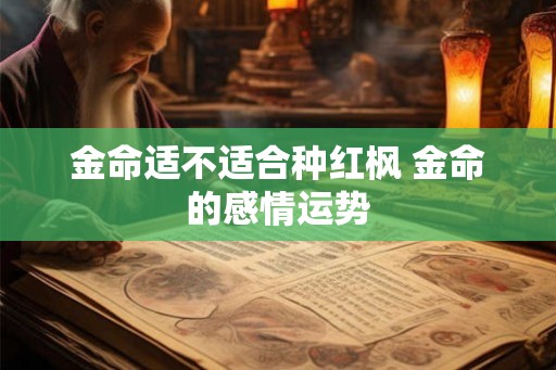金命适不适合种红枫 金命的感情运势