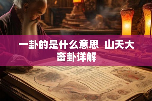 一卦的是什么意思  山天大畜卦详解