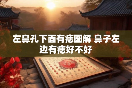 左鼻孔下面有痣图解 鼻子左边有痣好不好