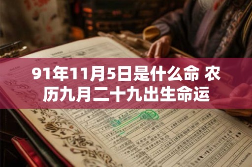 91年11月5日是什么命 农历九月二十九出生命运