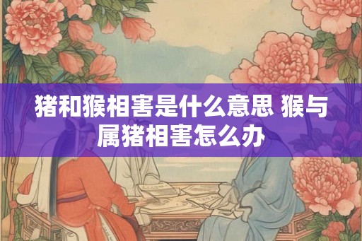 猪和猴相害是什么意思 猴与属猪相害怎么办 猪和猴相害是什么意思 猴与属猪相害怎么办
