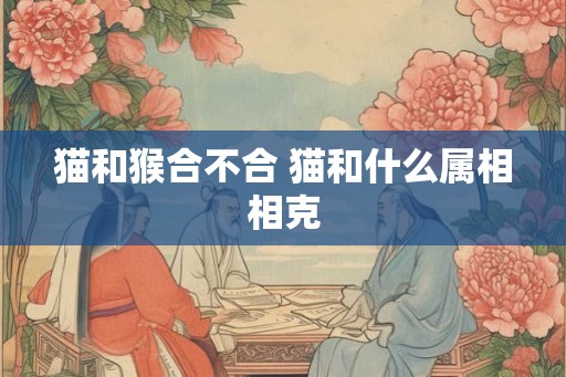 猫和猴合不合 猫和什么属相相克