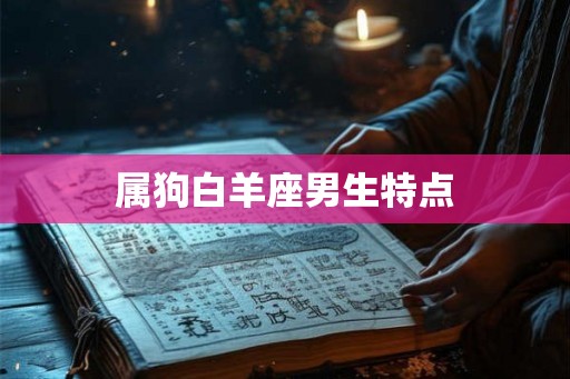 属狗白羊座男生特点
