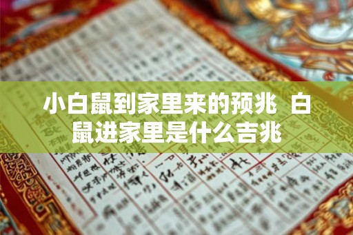 小白鼠到家里来的预兆  白鼠进家里是什么吉兆