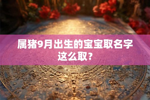 属猪9月出生的宝宝取名字这么取？