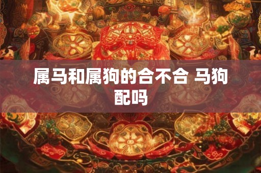 属马和属狗的合不合 马狗配吗 属马和属狗的合不合 马狗配吗