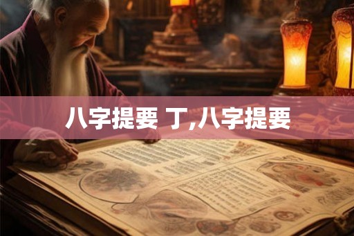 八字提要 丁,八字提要