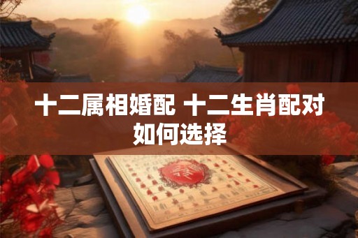 十二属相婚配 十二生肖配对如何选择