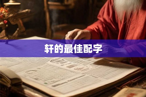 轩的最佳配字 轩的最佳配字