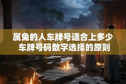 属兔的人车牌号适合上多少 车牌号码数字选择的原则