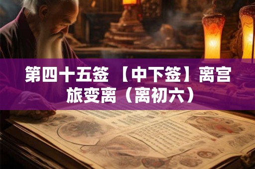 第四十五签 【中下签】离宫 旅变离(离初六) 第四十五签 【中下签】离宫 旅变离(离初六)