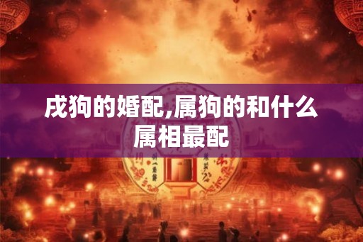 戌狗的婚配,属狗的和什么属相最配