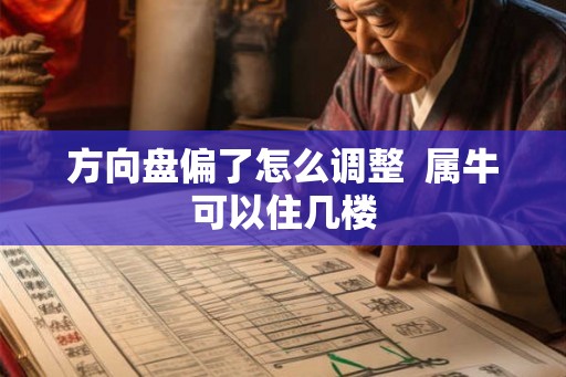 方向盘偏了怎么调整  属牛可以住几楼