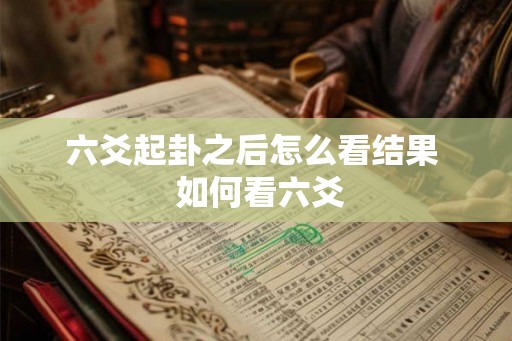 六爻起卦之后怎么看结果  如何看六爻