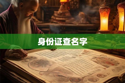 身份证查名字