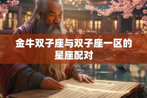 金牛双子座与双子座一区的星座配对