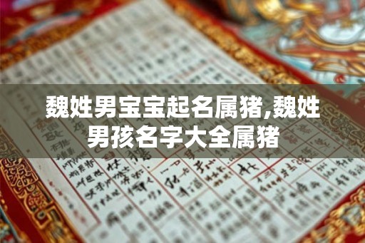 魏姓男宝宝起名属猪,魏姓男孩名字大全属猪
