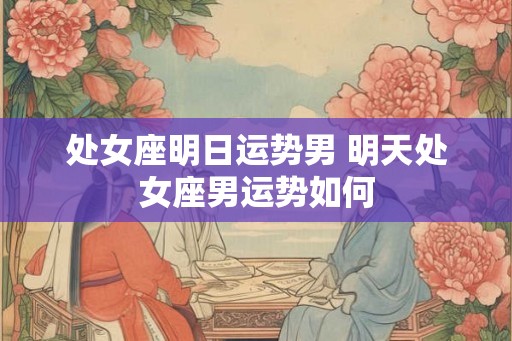 处女座明日运势男 明天处女座男运势如何