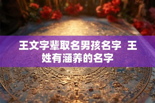 王文字辈取名男孩名字 王姓有涵养的名字 王文字辈取名男孩名字 王姓有涵养的名字
