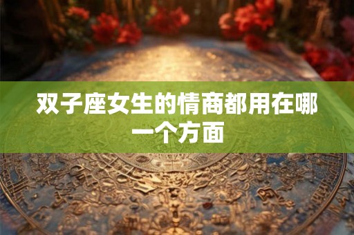 双子座女生的情商都用在哪一个方面 双子座女生的情商都用在哪一个方面