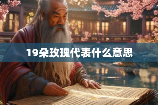 19朵玫瑰代表什么意思