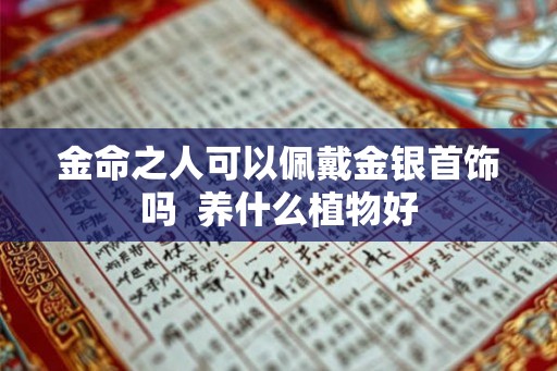 金命之人可以佩戴金银首饰吗  养什么植物好